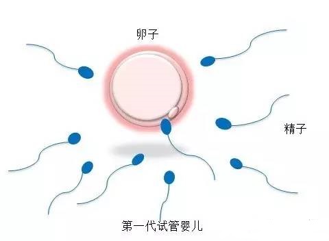 诊疗环境